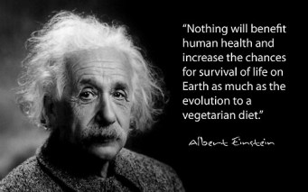 Albert-Einstein-Nothing-will-benefit-human